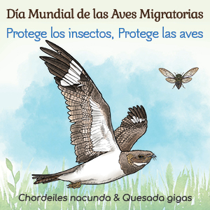 Día Mundial de las Aves Migratorias