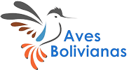 Aves Bolivianas